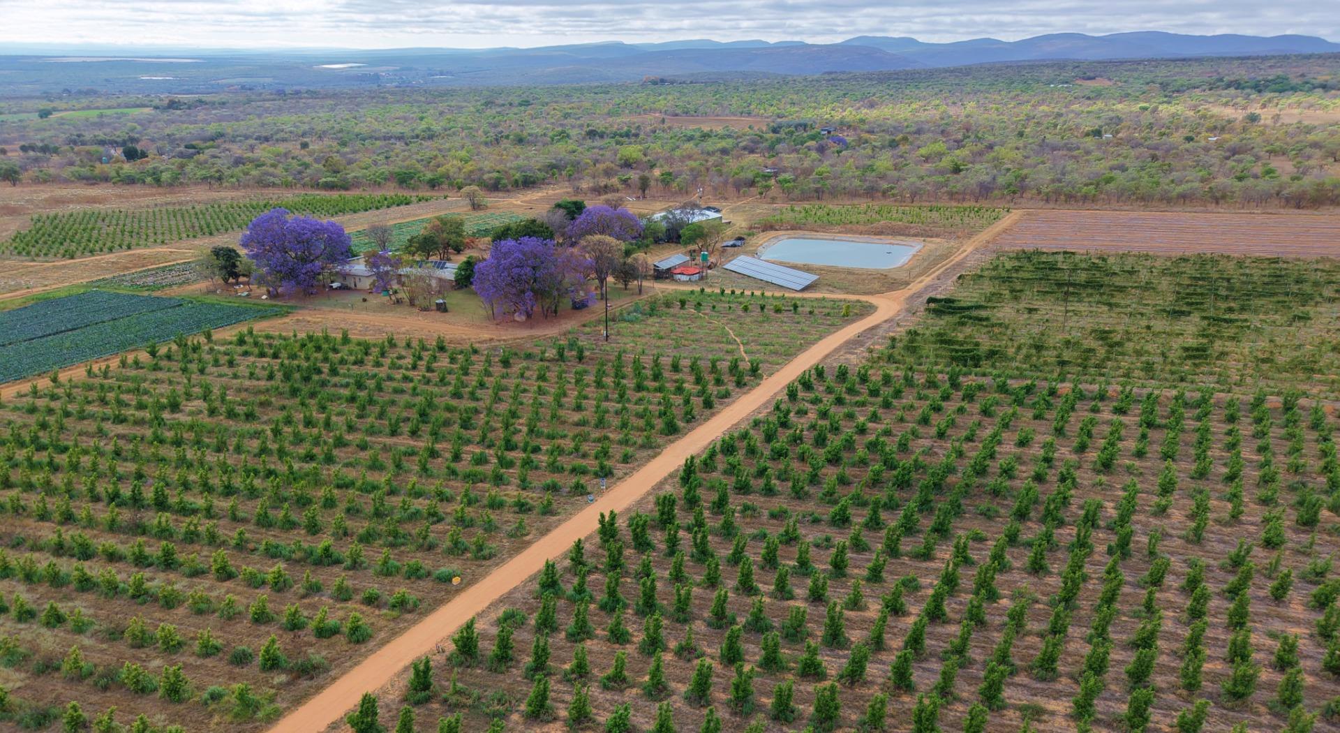 Farm for Sale - Limpopo