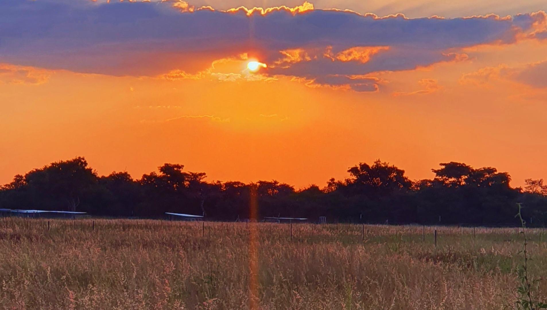 Farm for Sale - Limpopo